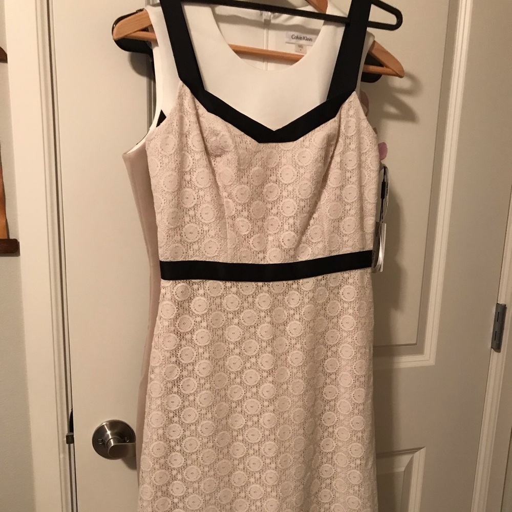 Gorgeous Ann Taylor Loft Lace dress